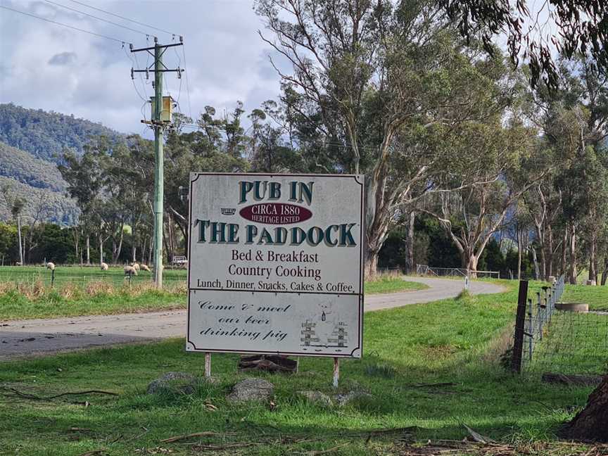 Pub in the Paddock, Pyengana, TAS