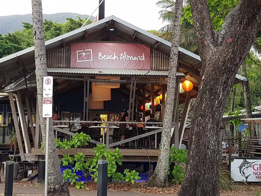 Beach Almond, Palm Cove, QLD