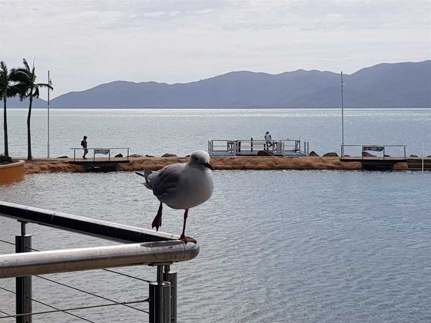 strand souvlaki bar, North Ward, QLD