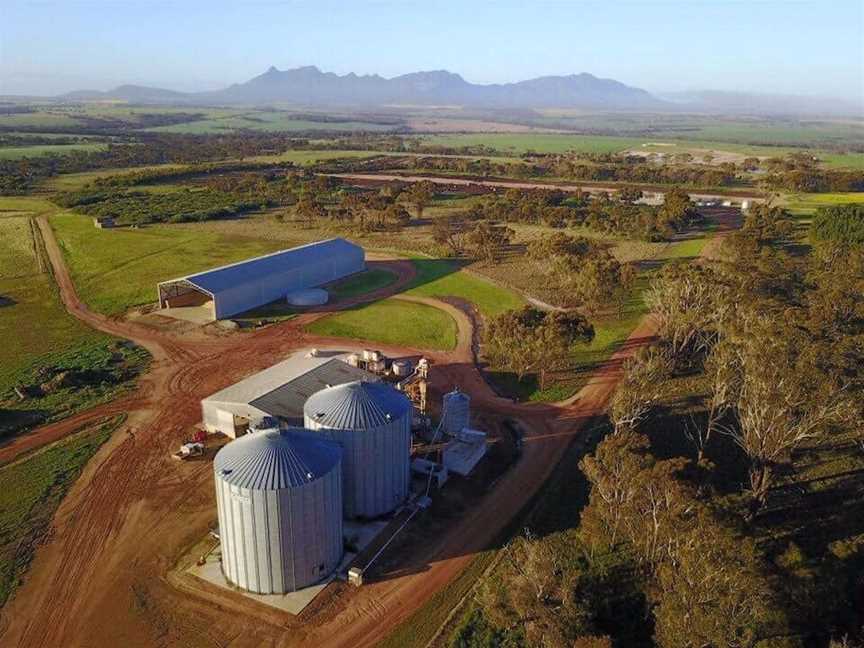 Stirling Ranges Beef, Food & drink in Porongurup