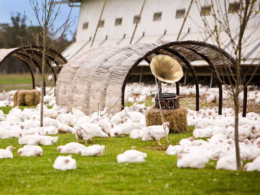 Mt Barker Free Range Chicken, Food & drink in Mount Barker