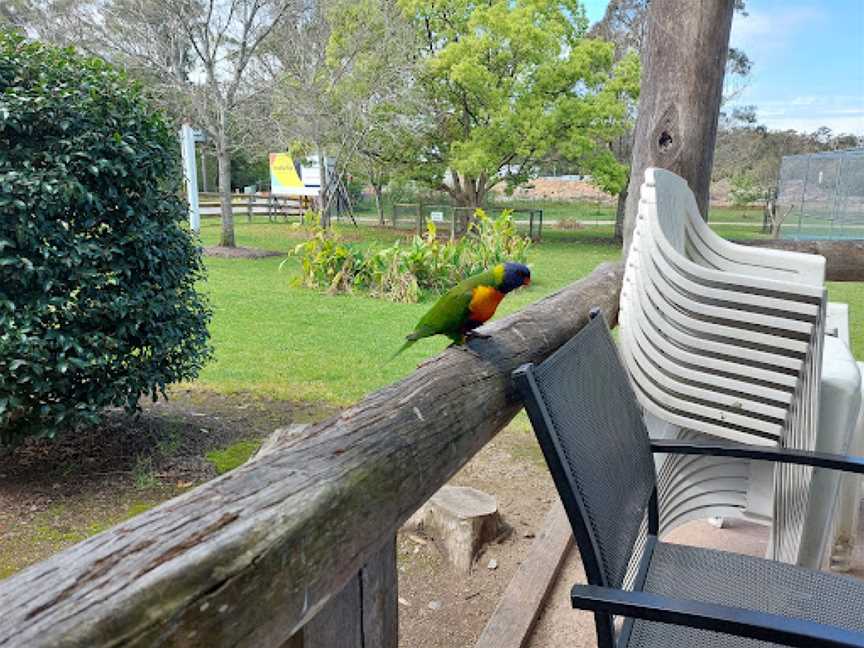 Warnies Cafe, Warnervale, NSW