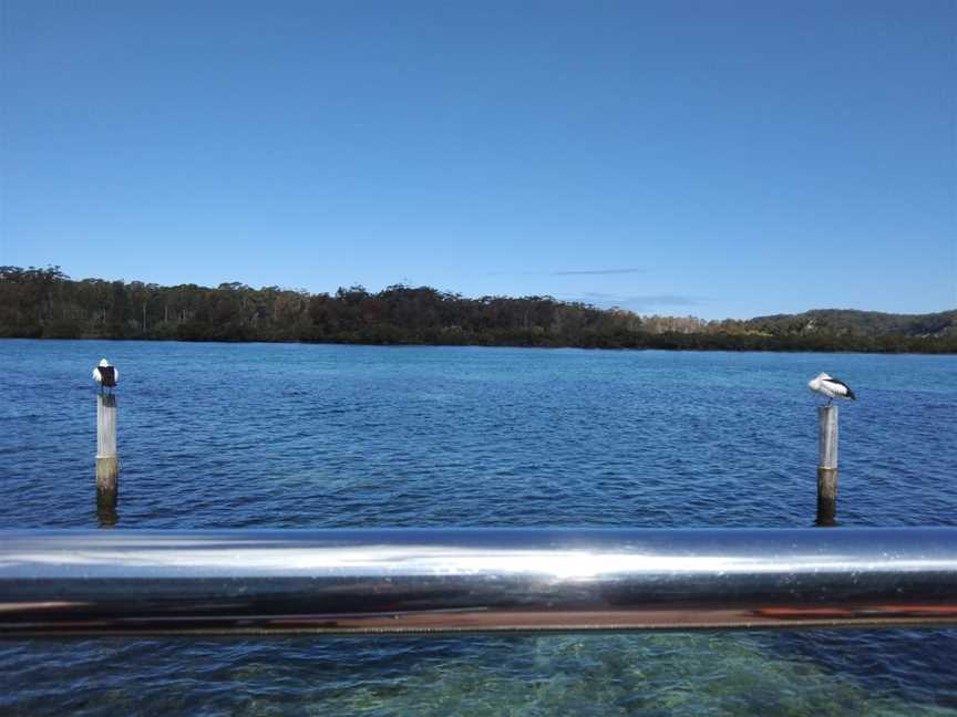 Pelican Shores Café and Marina, Sussex Inlet, NSW