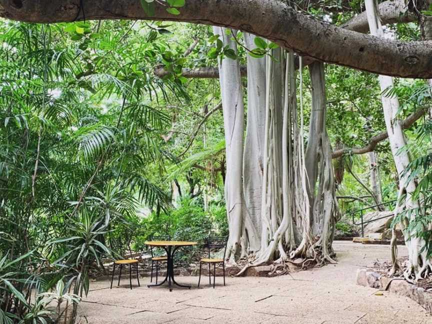 Gardens Tearooms, West Rockhampton, QLD