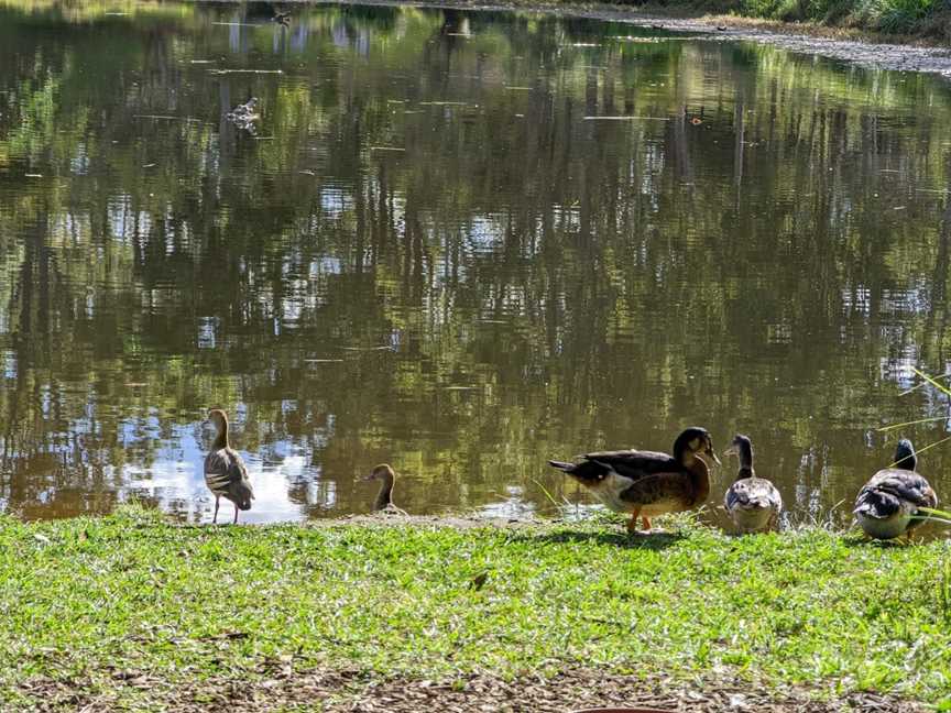 The Place 2 B, Delaneys Creek, QLD