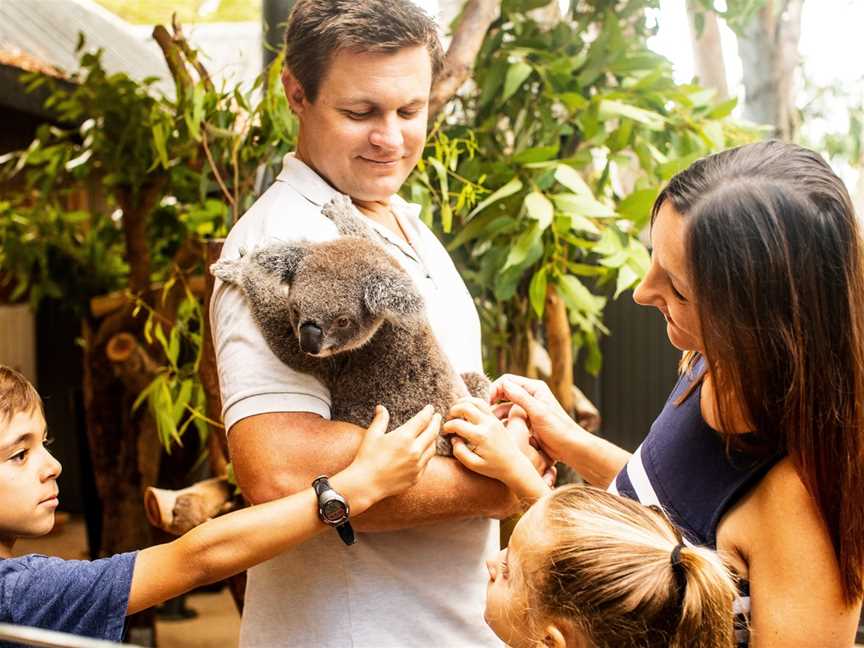 Hamilton Island Wildlife, Whitsundays, QLD