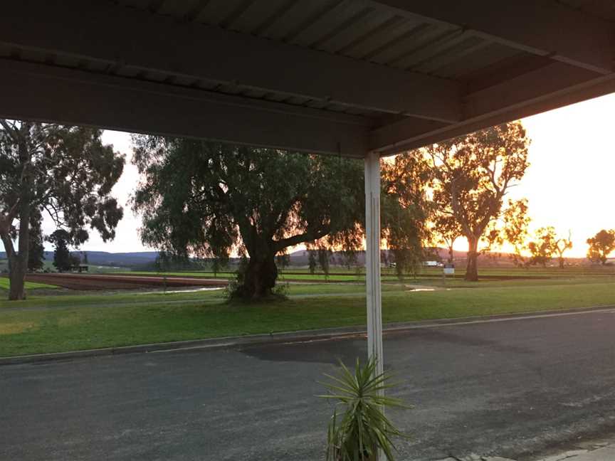 The Long Paddock, Lindenow, VIC