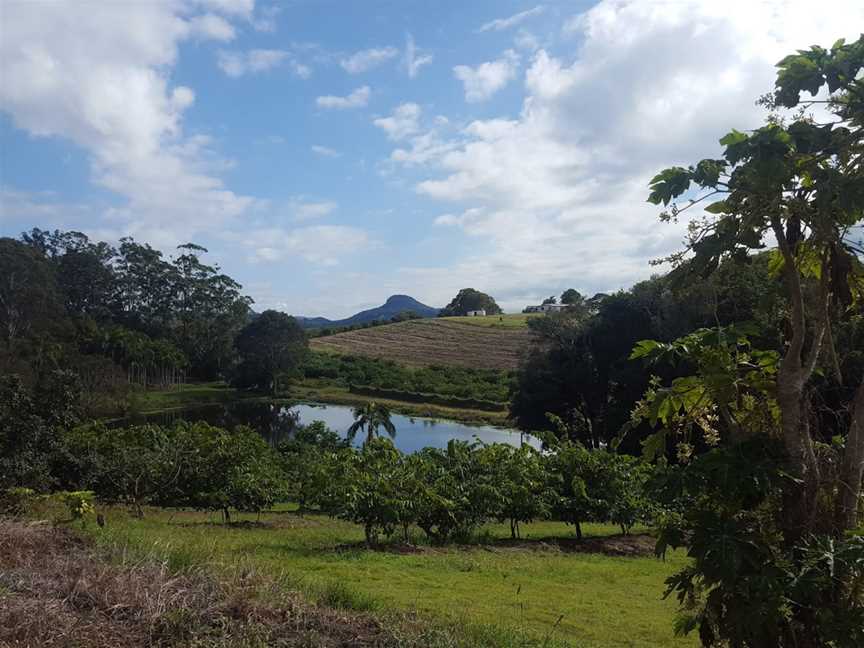 McMartins Farm, Bli Bli, QLD