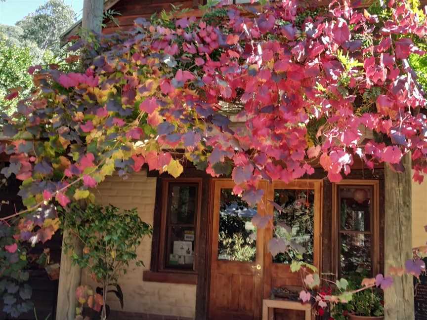 Lavender Hue Farm B&B, and Tea Rooms, Harrietville, VIC