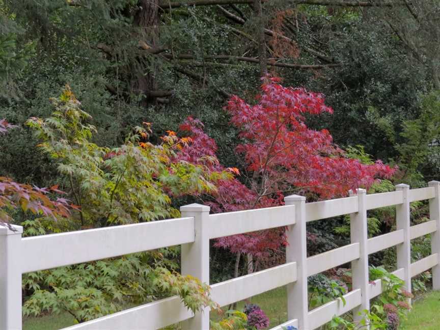 Singing Gardens of CJ Dennis and Tearooms, Toolangi, VIC