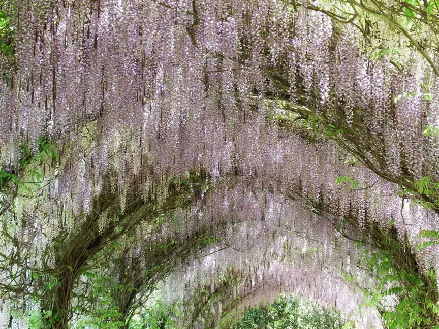 Alowyn Gardens, Yarra Glen, VIC