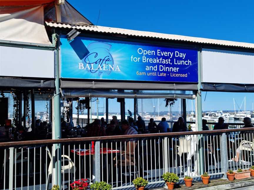 Cafe Balaena, Urangan, QLD