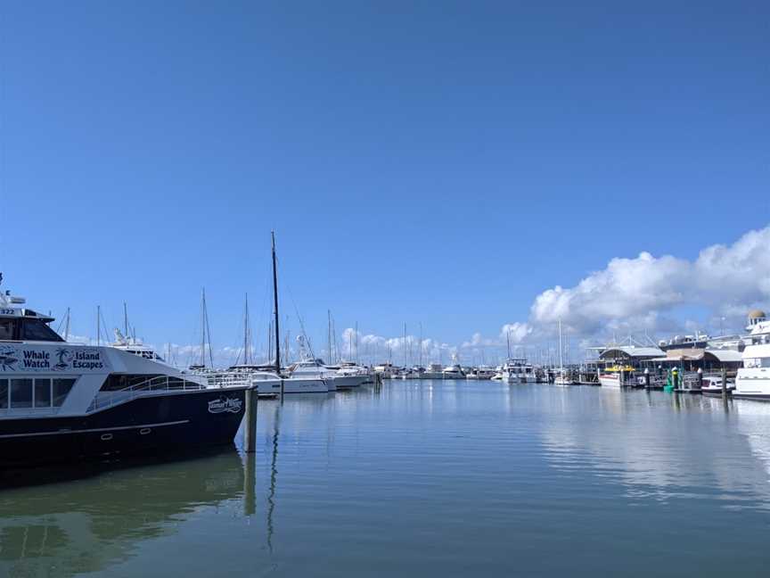 Cafe Balaena, Urangan, QLD