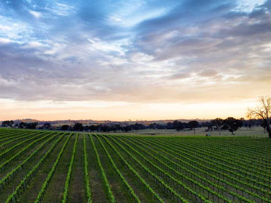 Poachers Pantry, Springrange, NSW