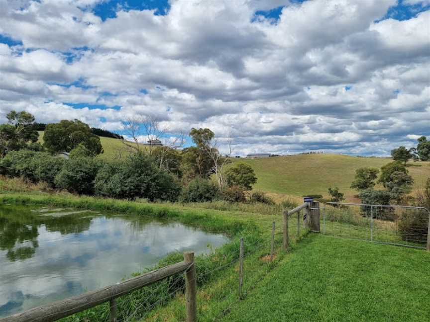 Fondata 1872, Kangaroo Ground, VIC