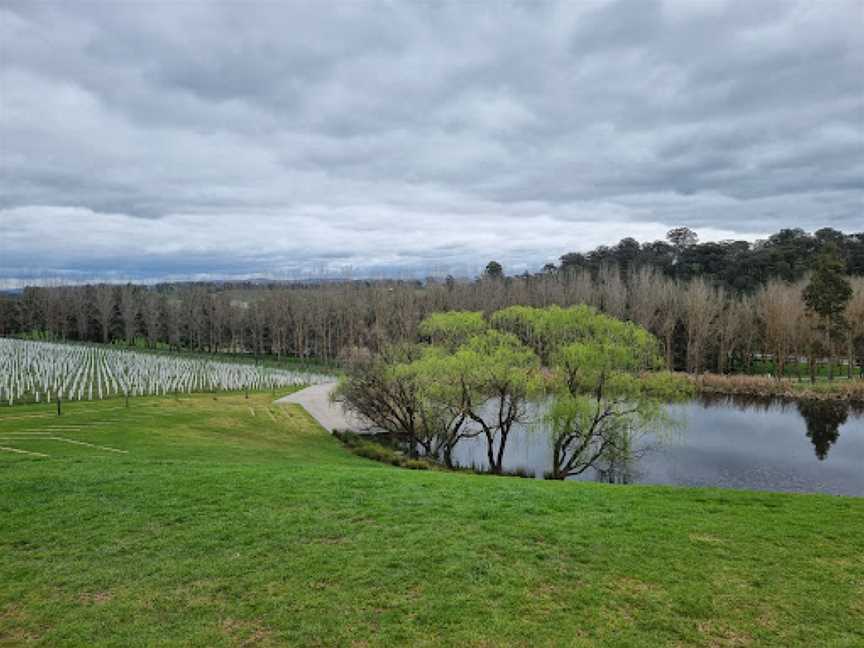 TarraWarra Estate Restaurant & Cellar Door, Yarra Glen, VIC