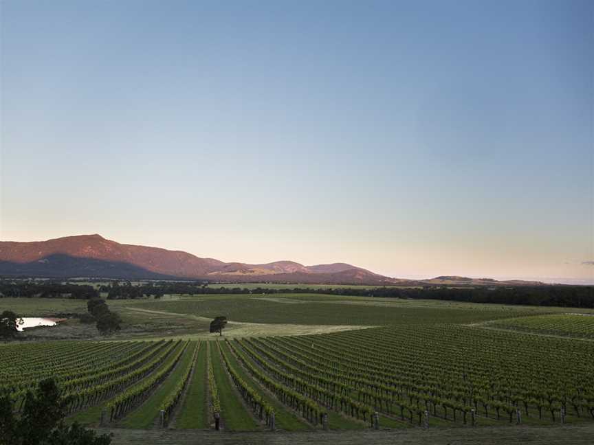 Mount Langi Ghiran Vineyard, Bayindeen, VIC