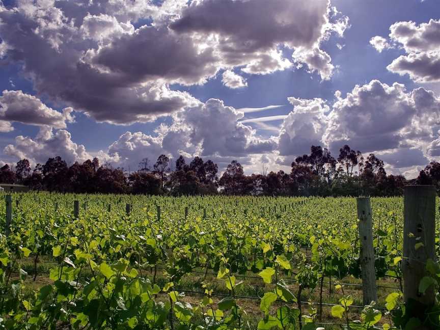 Nicol's Paddock, Waurn Ponds, VIC