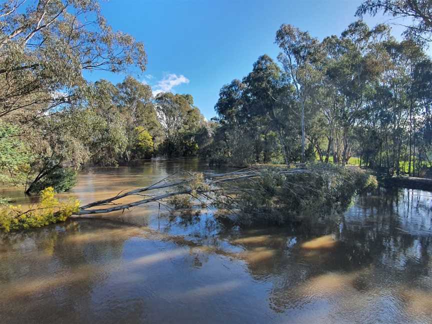 Wangaratta RSL, Wangaratta, VIC