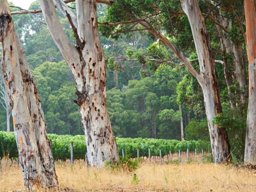 Stella Bella Wines, Margaret River, WA