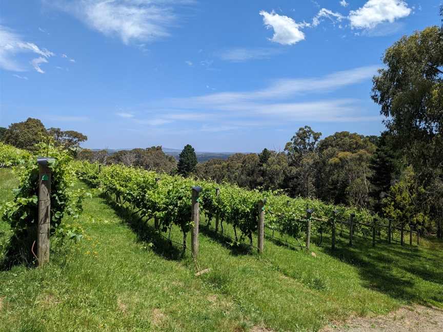 Mount Towrong Vineyard, Mount Macedon, VIC