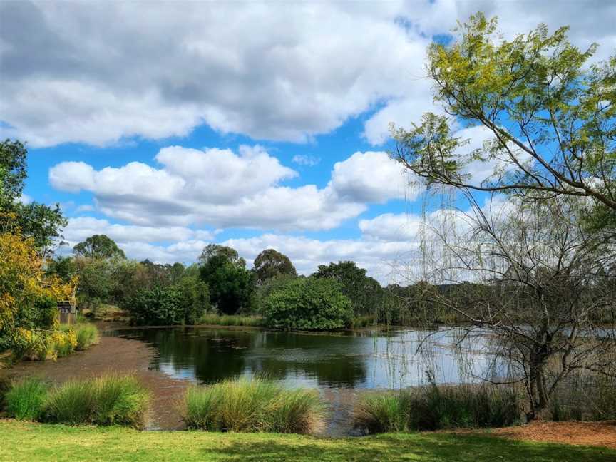 Dusty Hill Vineyard, Moffatdale, QLD