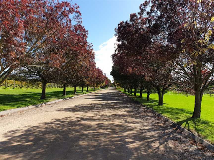 Trofeo Estate, Dromana, VIC