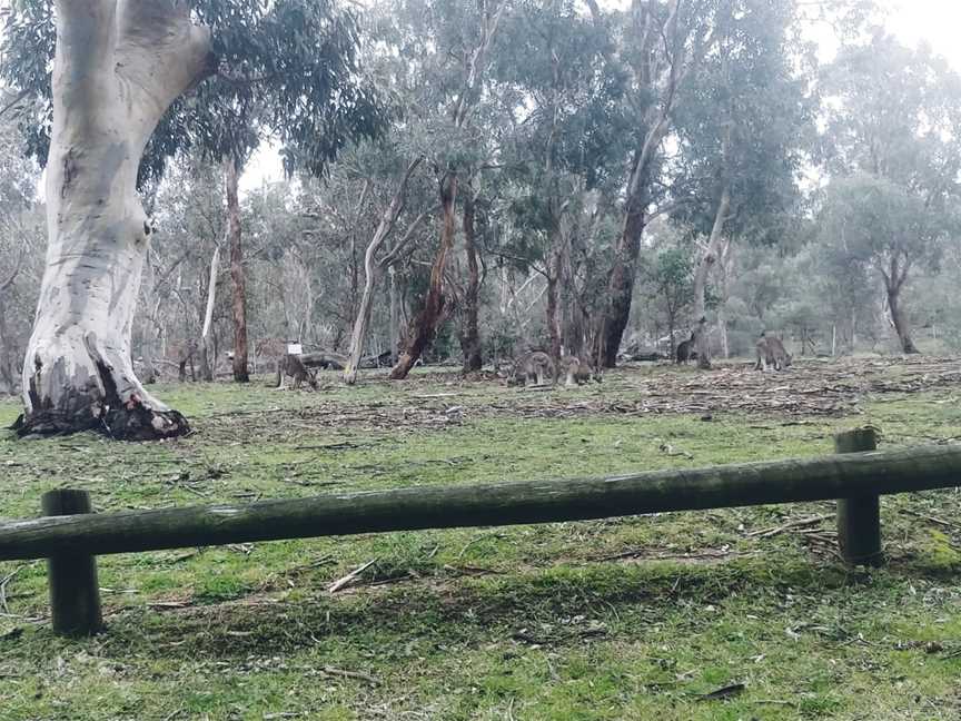 Campbell Park Cafe, Australian Capital Territory, ACT