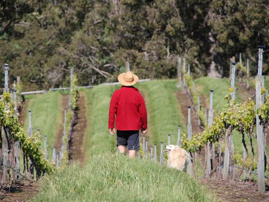 Green Door Wines, Henty, WA