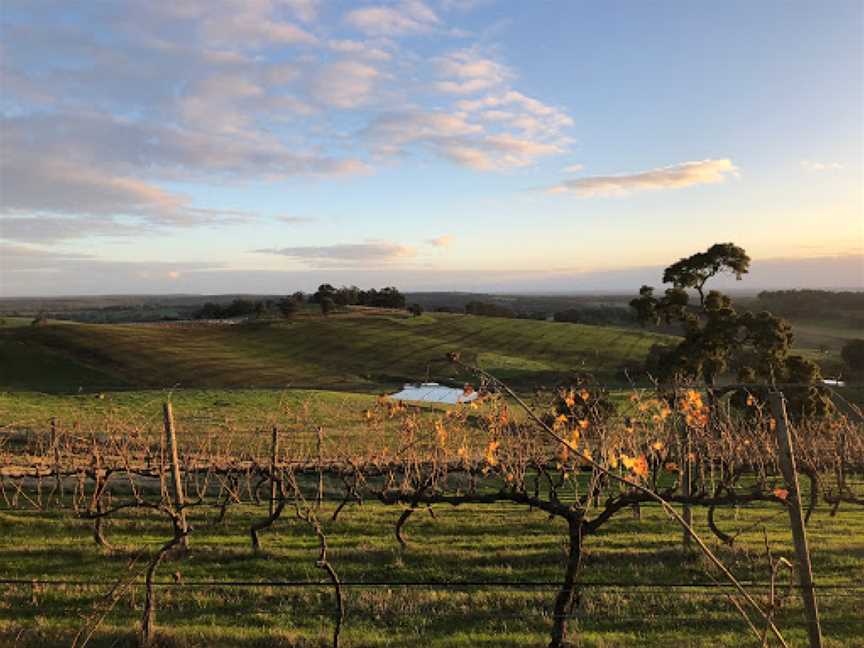 Green Door Wines, Henty, WA