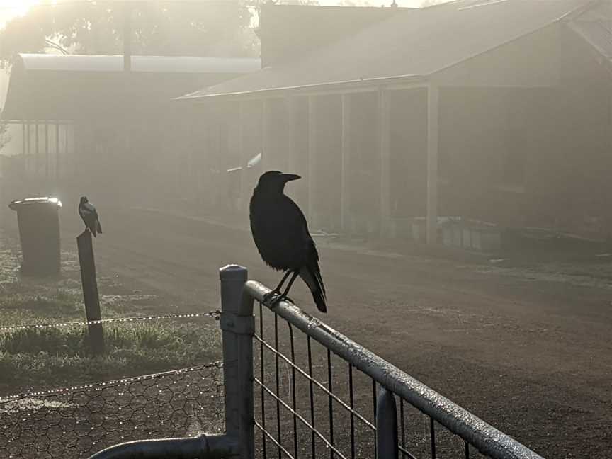 Henry Jones Winery & Cafe, Broomehill Village, WA