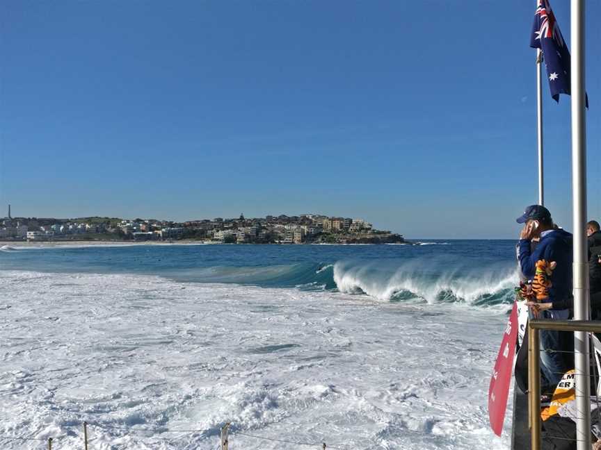 Icebergs Terrace, Bondi Beach, NSW