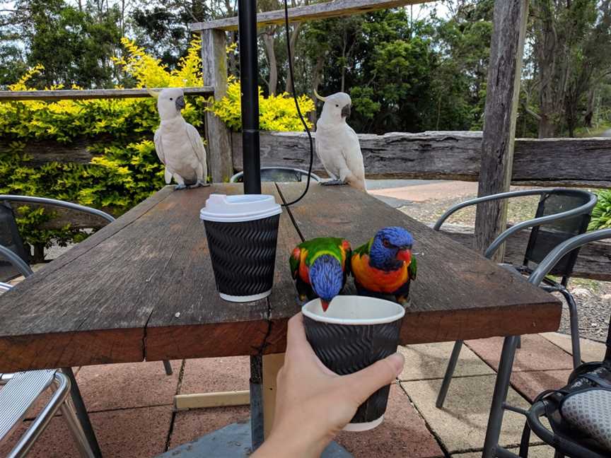 JM Jones Tearooms, Mount Nebo, QLD