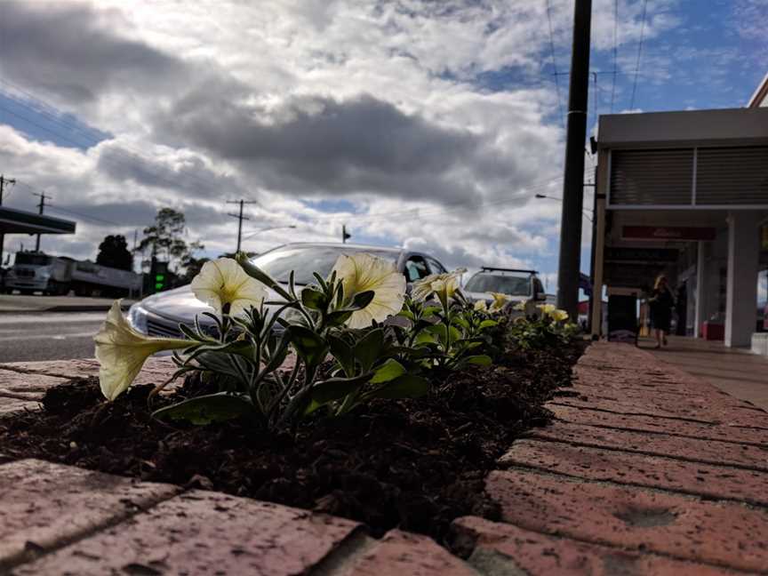 Luscious Cafe, Korumburra, VIC