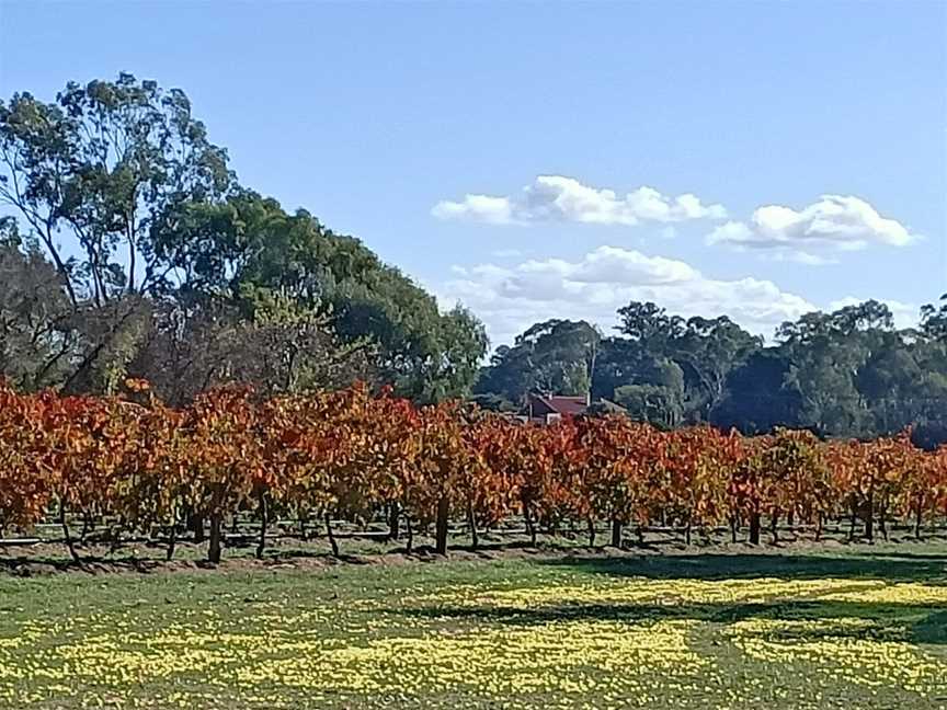 Monkey Nut Café - Barossa Valley, Lyndoch, SA