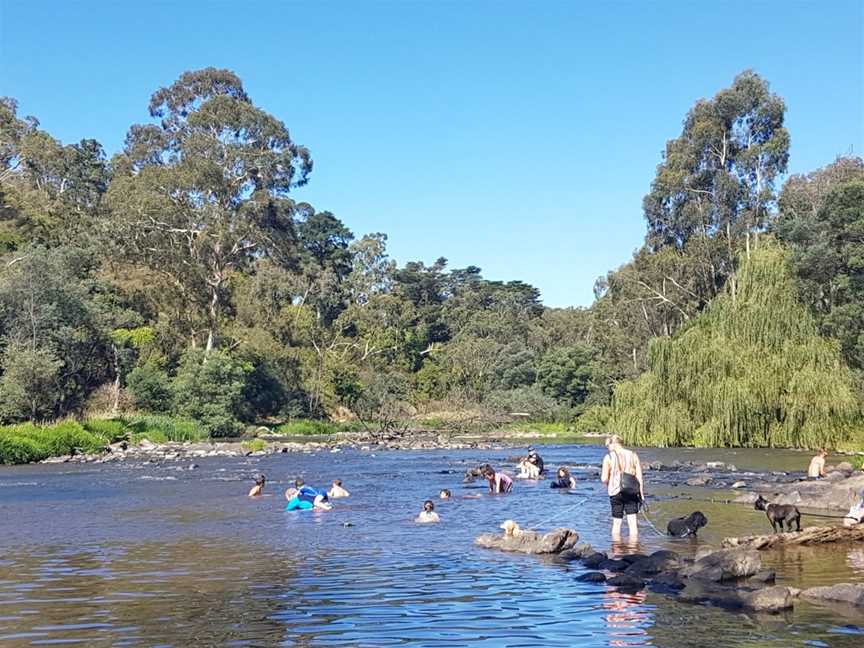 River View Deli Cafe., Warrandyte, VIC