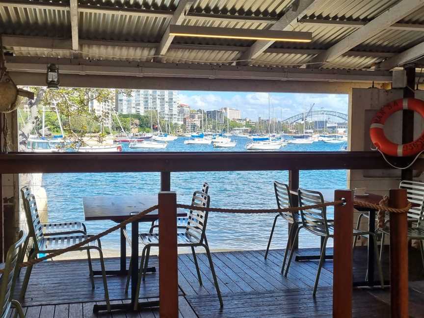 The Navy Bear, Darling Point, NSW