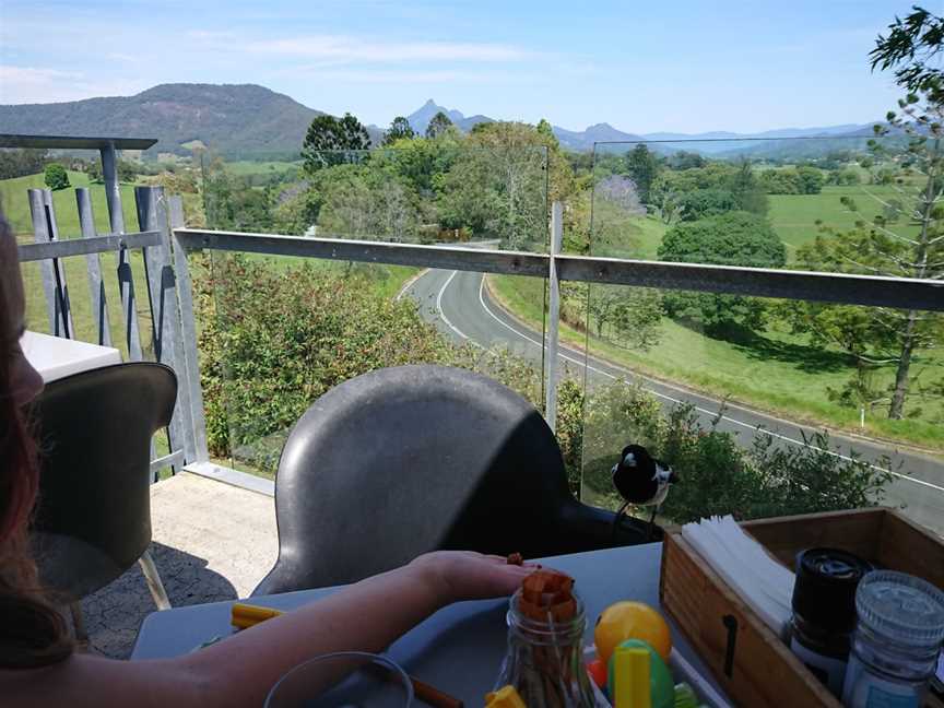 Tweed Gallery Cafe, South Murwillumbah, NSW