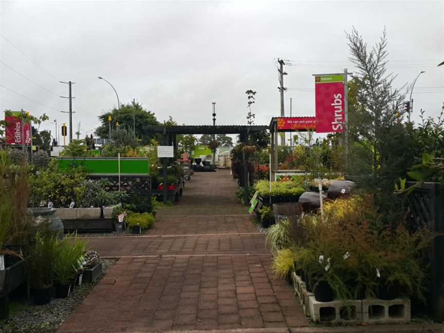 Cafe Botannix Welcome Bay, Hairini, New Zealand