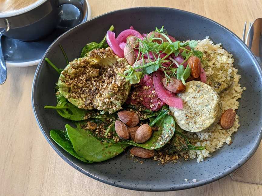 Local Authority Specialty Coffee Bar, Porirua, New Zealand