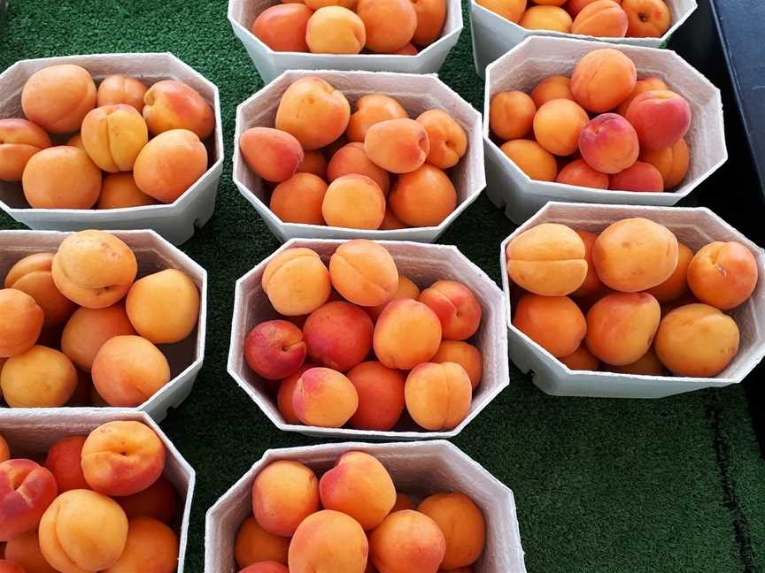 Lowes Orchard, Brightwater, New Zealand