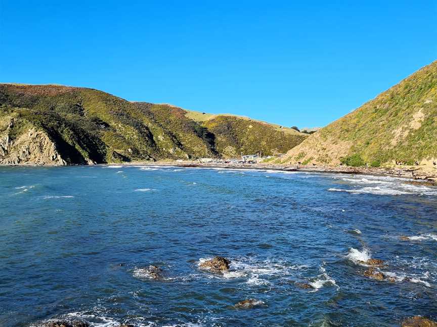 Makara Beach WhareKai, Wellington, New Zealand