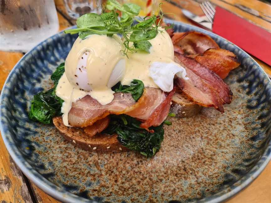 Matakana Market Kitchen, Auckland, New Zealand