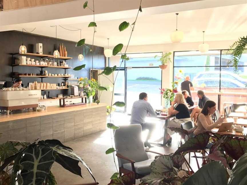 Nomad Cafe Roastery, Takapuna, New Zealand