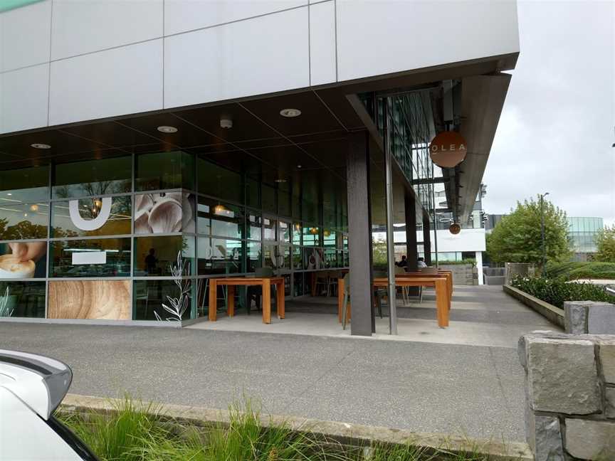 Olea Cafe, Auckland, New Zealand