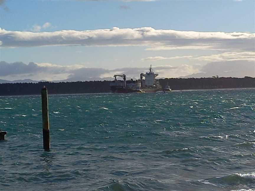 Pilot Bay Fish & Chips, Mount Maunganui, New Zealand