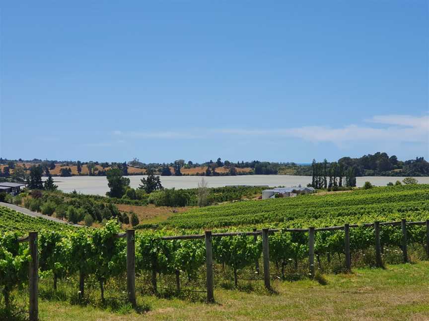 Rimu Grove Cellar Door and Wine Bar, Mapua, New Zealand