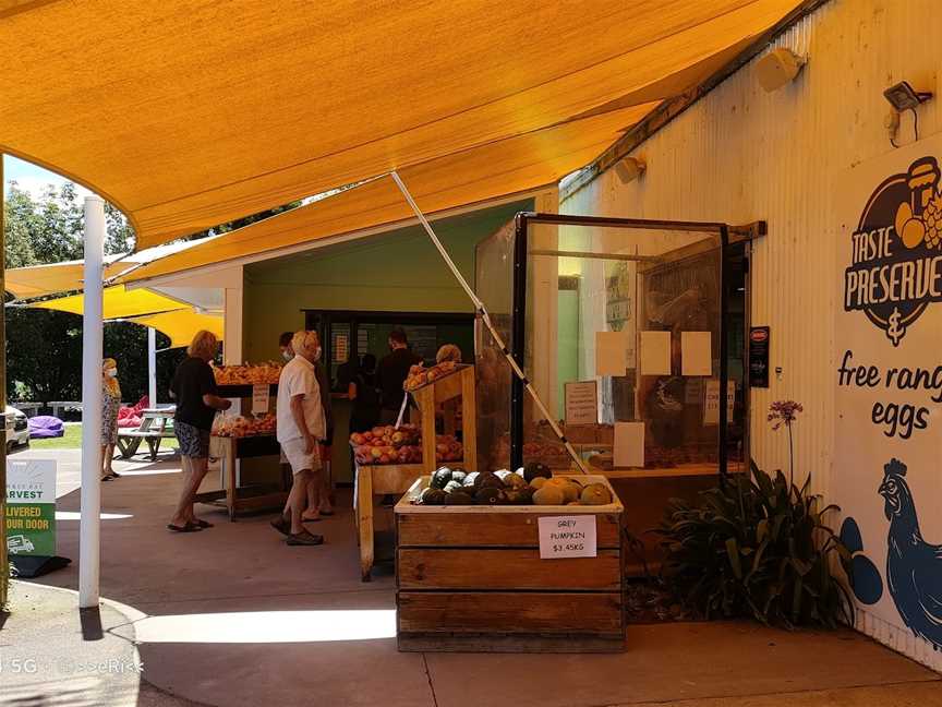 Taste Of Summer, Bay View, New Zealand