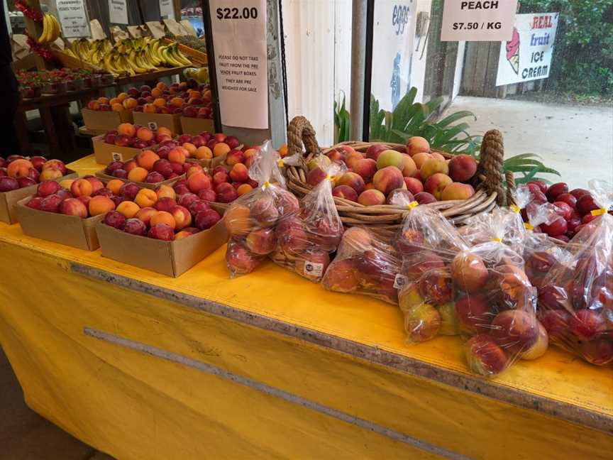 Taste Of Summer, Bay View, New Zealand