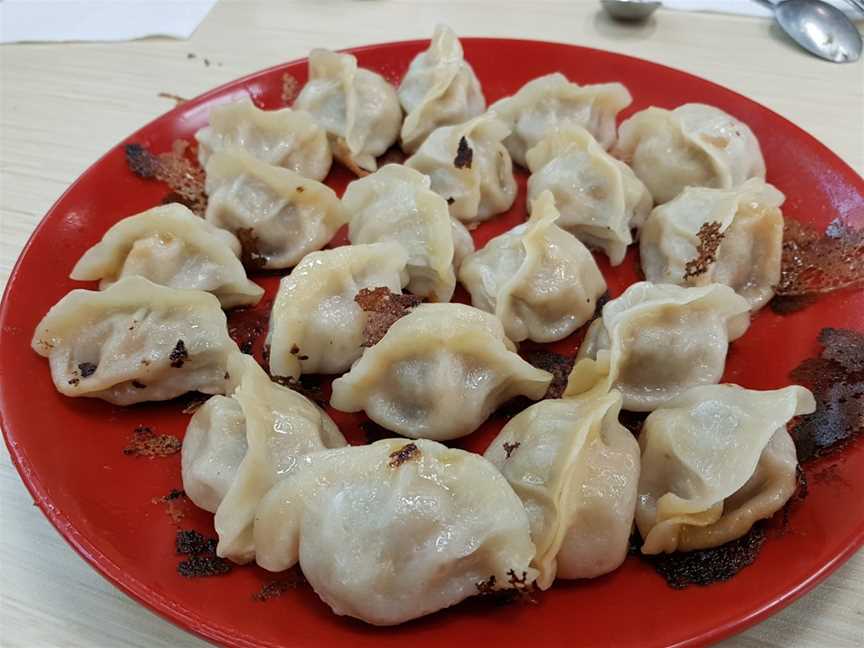 TASTY DUMPLING, Mount Albert, New Zealand